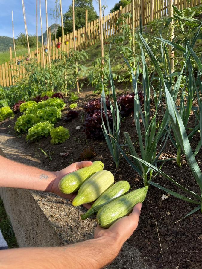 Agriturismo San Lorenzo Di Persegno Βίλα Toscolano Maderno Εξωτερικό φωτογραφία